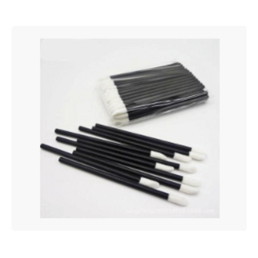 GoWorth Lip Brushes